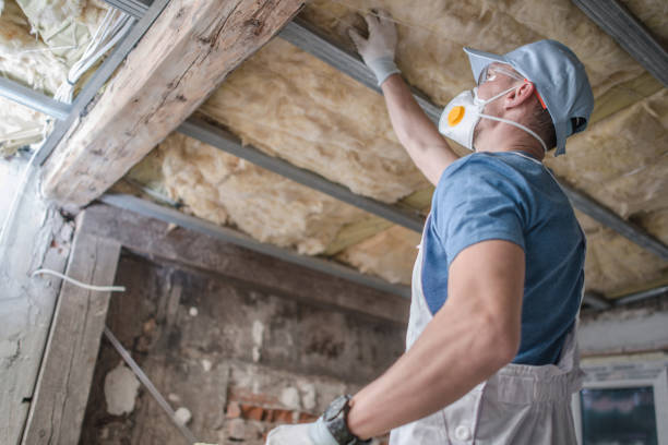 Types of Insulation We Offer in DE